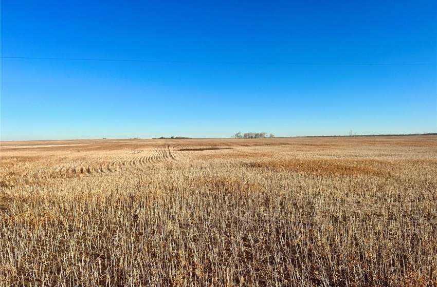 Rural Address, Marriott Rm No. 317, Saskatchewan S0L 0E8, ,Farm,For Sale,Harris 2,388 acres Grain Farmland,Rural Address,SK956301