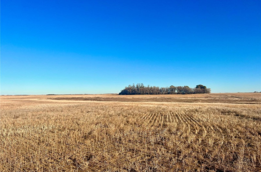 Rural Address, Marriott Rm No. 317, Saskatchewan S0L 0E8, ,Farm,For Sale,Harris 2,388 acres Grain Farmland,Rural Address,SK956301