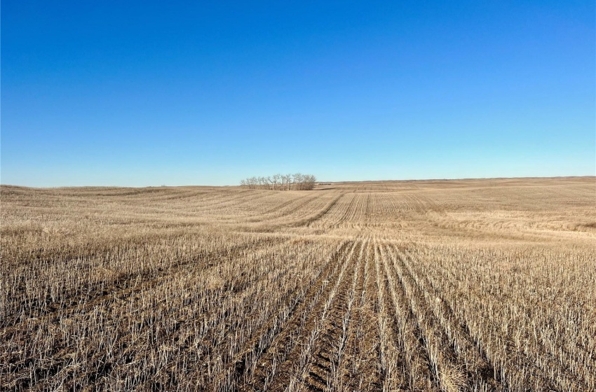 Rural Address, Marriott Rm No. 317, Saskatchewan S0L 0E8, ,Farm,For Sale,Harris 2,388 acres Grain Farmland,Rural Address,SK956301