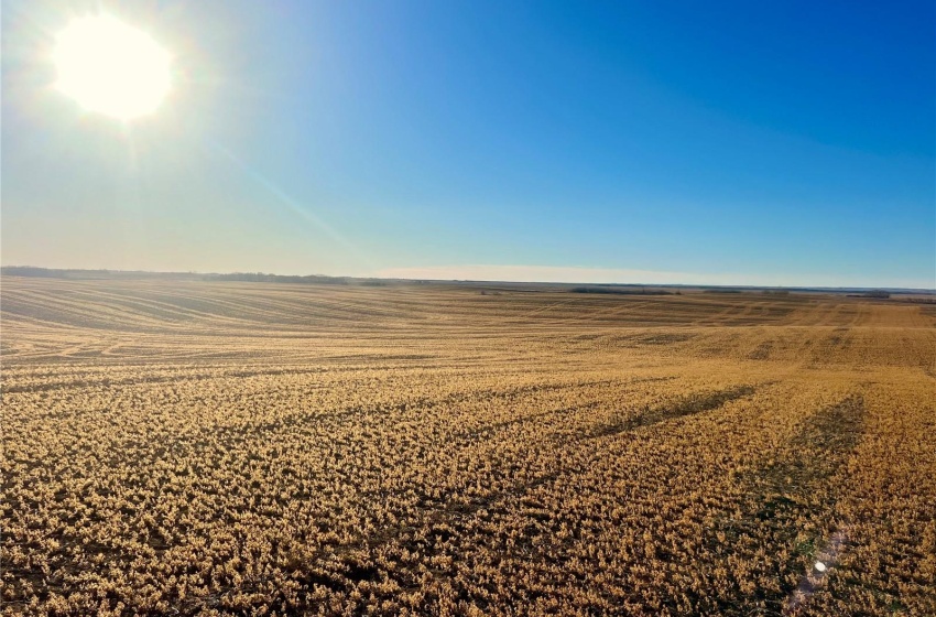 Rural Address, Marriott Rm No. 317, Saskatchewan S0L 0E8, ,Farm,For Sale,Harris 2,388 acres Grain Farmland,Rural Address,SK956301