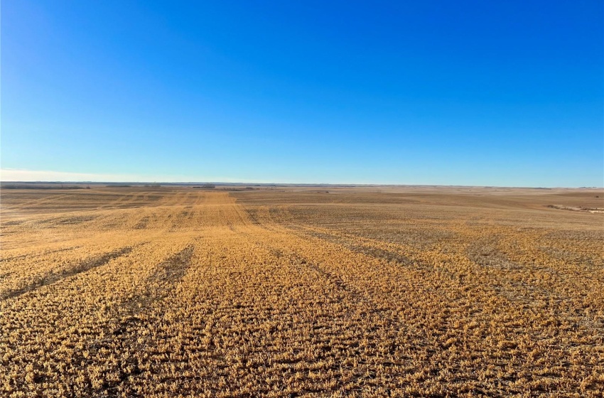 Rural Address, Marriott Rm No. 317, Saskatchewan S0L 0E8, ,Farm,For Sale,Harris 2,388 acres Grain Farmland,Rural Address,SK956301