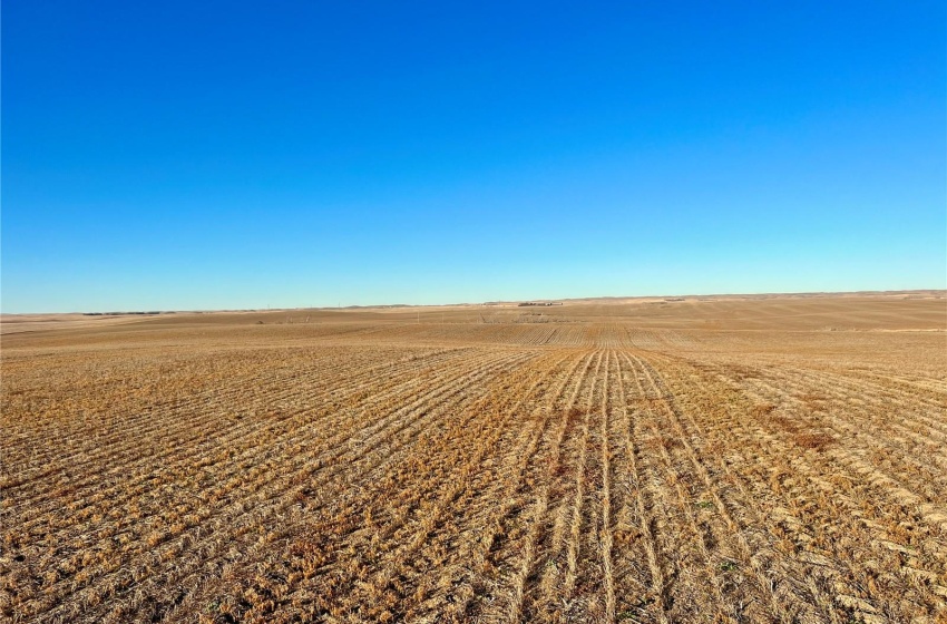 Rural Address, Marriott Rm No. 317, Saskatchewan S0L 0E8, ,Farm,For Sale,Harris 2,388 acres Grain Farmland,Rural Address,SK956301