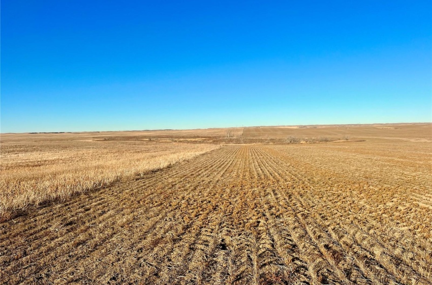 Rural Address, Marriott Rm No. 317, Saskatchewan S0L 0E8, ,Farm,For Sale,Harris 2,388 acres Grain Farmland,Rural Address,SK956301