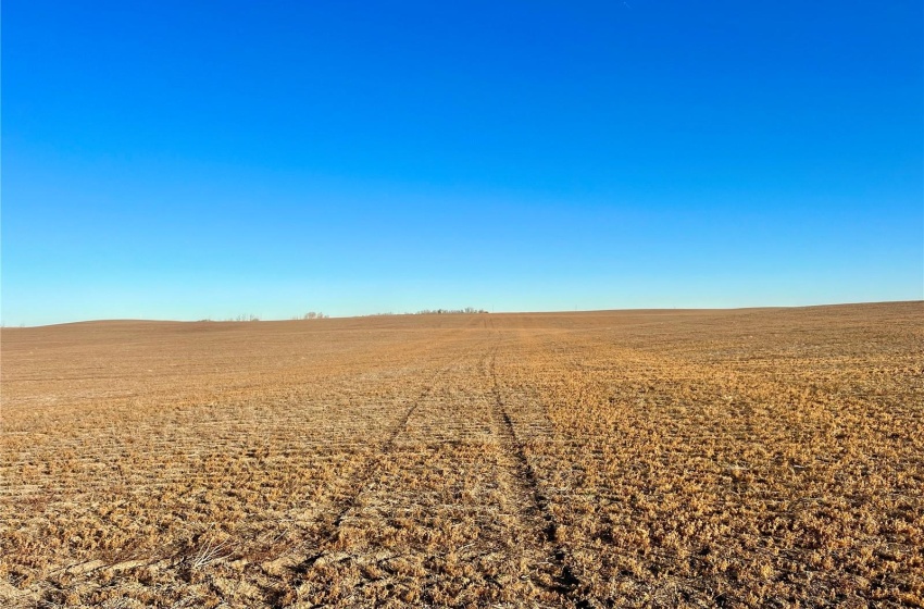 Rural Address, Marriott Rm No. 317, Saskatchewan S0L 0E8, ,Farm,For Sale,Harris 2,388 acres Grain Farmland,Rural Address,SK956301