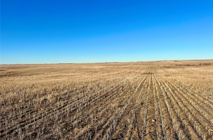 Rural Address, Marriott Rm No. 317, Saskatchewan S0L 0E8, ,Farm,For Sale,Harris 2,388 acres Grain Farmland,Rural Address,SK956301