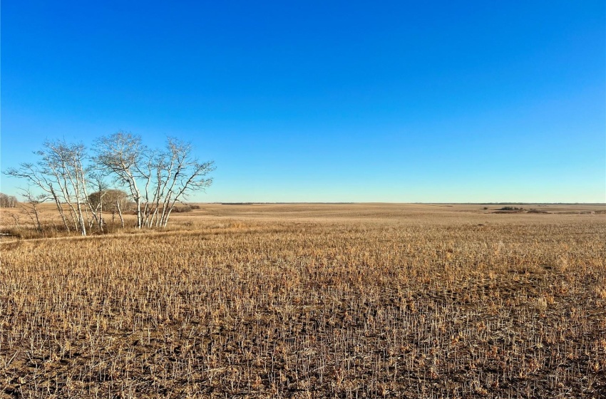 Rural Address, Marriott Rm No. 317, Saskatchewan S0L 0E8, ,Farm,For Sale,Harris 2,388 acres Grain Farmland,Rural Address,SK956301