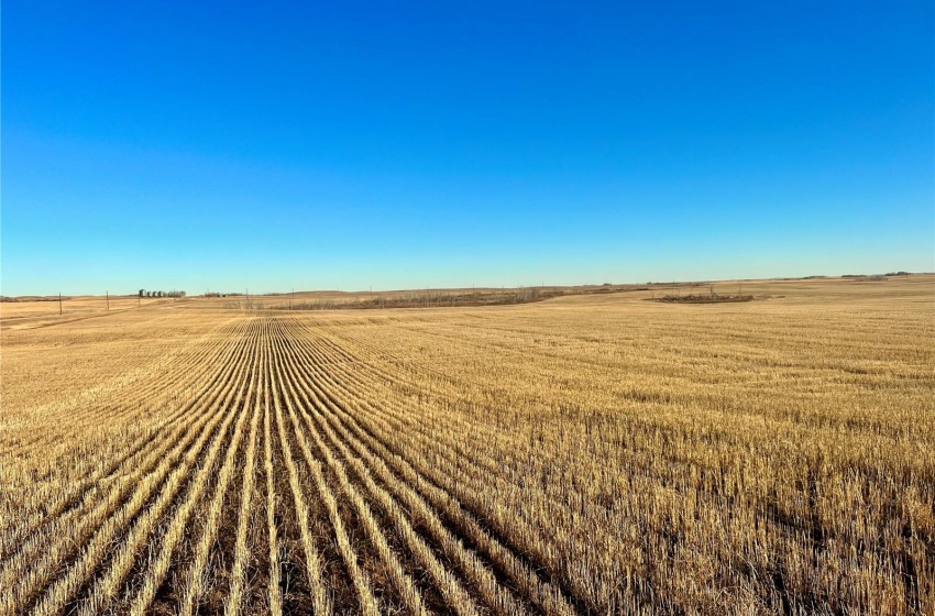 Rural Address, Marriott Rm No. 317, Saskatchewan S0L 0E8, ,Farm,For Sale,Harris 2,388 acres Grain Farmland,Rural Address,SK956301