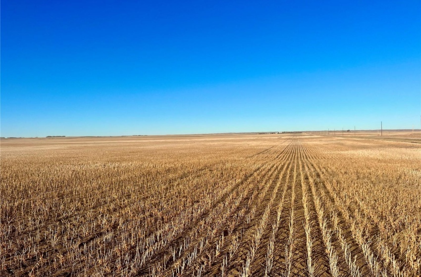 Rural Address, Marriott Rm No. 317, Saskatchewan S0L 0E8, ,Farm,For Sale,Harris 2,388 acres Grain Farmland,Rural Address,SK956301