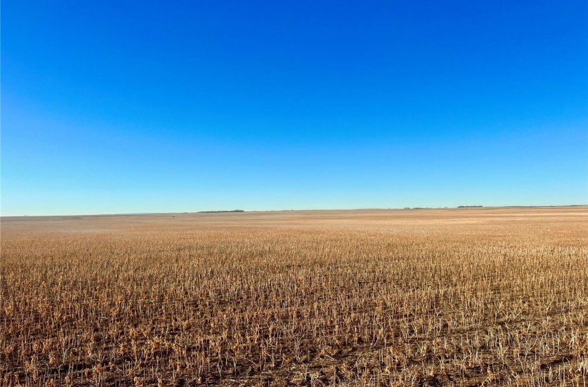 Rural Address, Marriott Rm No. 317, Saskatchewan S0L 0E8, ,Farm,For Sale,Harris 2,388 acres Grain Farmland,Rural Address,SK956301