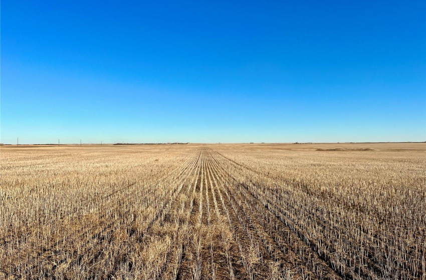 Rural Address, Marriott Rm No. 317, Saskatchewan S0L 0E8, ,Farm,For Sale,Harris 2,388 acres Grain Farmland,Rural Address,SK956301