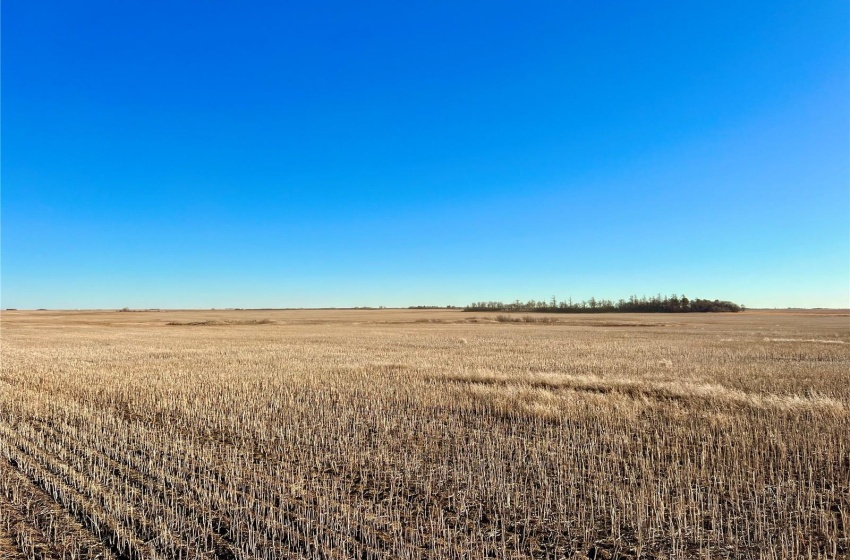 Rural Address, Marriott Rm No. 317, Saskatchewan S0L 0E8, ,Farm,For Sale,Harris 2,388 acres Grain Farmland,Rural Address,SK956301