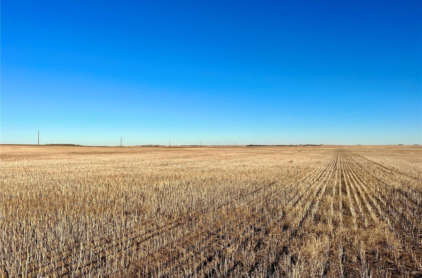 Rural Address, Marriott Rm No. 317, Saskatchewan S0L 0E8, ,Farm,For Sale,Harris 2,388 acres Grain Farmland,Rural Address,SK956301