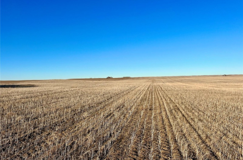 Rural Address, Marriott Rm No. 317, Saskatchewan S0L 0E8, ,Farm,For Sale,Harris 2,388 acres Grain Farmland,Rural Address,SK956301