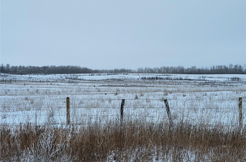 Rural Address, Blaine Lake Rm No. 434, Saskatchewan S0J 0J0, ,Farm,For Sale,Blaine Lake 414.5 acres Hay and Grain Farmland,Rural Address,SK956374