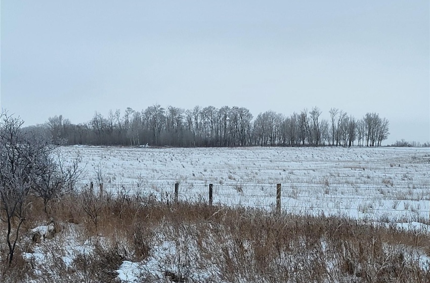 Rural Address, Blaine Lake Rm No. 434, Saskatchewan S0J 0J0, ,Farm,For Sale,Blaine Lake 414.5 acres Hay and Grain Farmland,Rural Address,SK956374