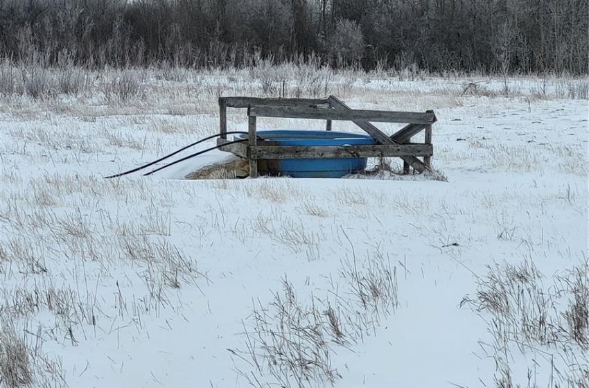 Rural Address, Blaine Lake Rm No. 434, Saskatchewan S0J 0J0, ,Farm,For Sale,Blaine Lake 414.5 acres Hay and Grain Farmland,Rural Address,SK956374