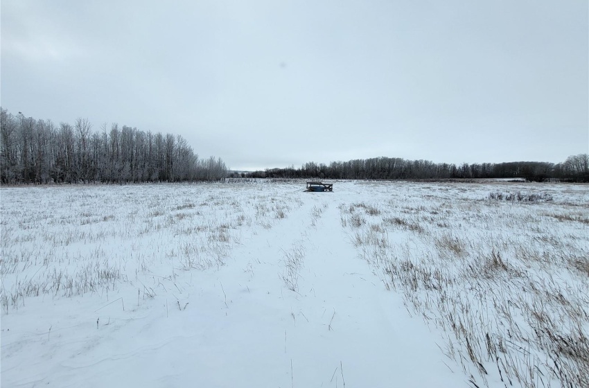 Rural Address, Blaine Lake Rm No. 434, Saskatchewan S0J 0J0, ,Farm,For Sale,Blaine Lake 414.5 acres Hay and Grain Farmland,Rural Address,SK956374