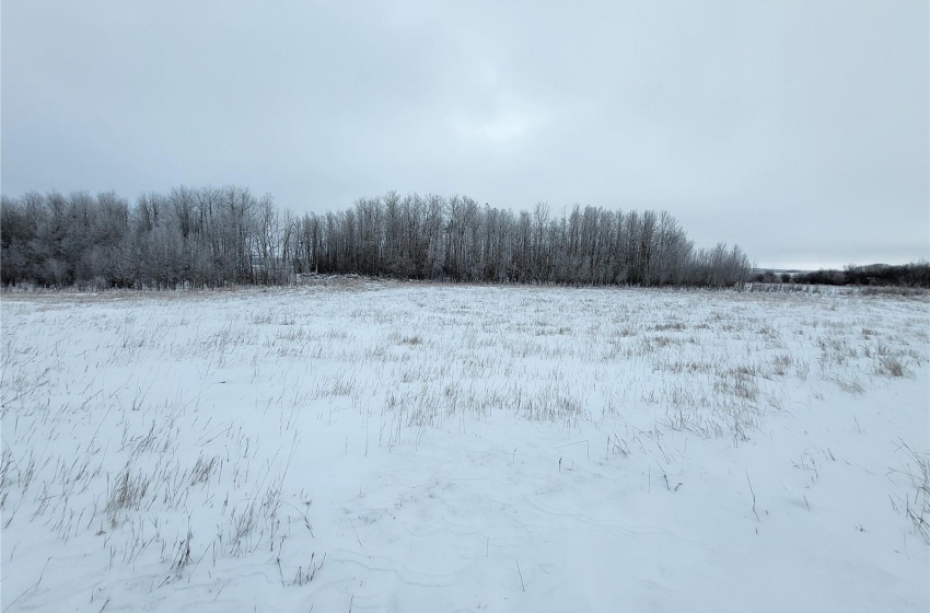 Rural Address, Blaine Lake Rm No. 434, Saskatchewan S0J 0J0, ,Farm,For Sale,Blaine Lake 414.5 acres Hay and Grain Farmland,Rural Address,SK956374