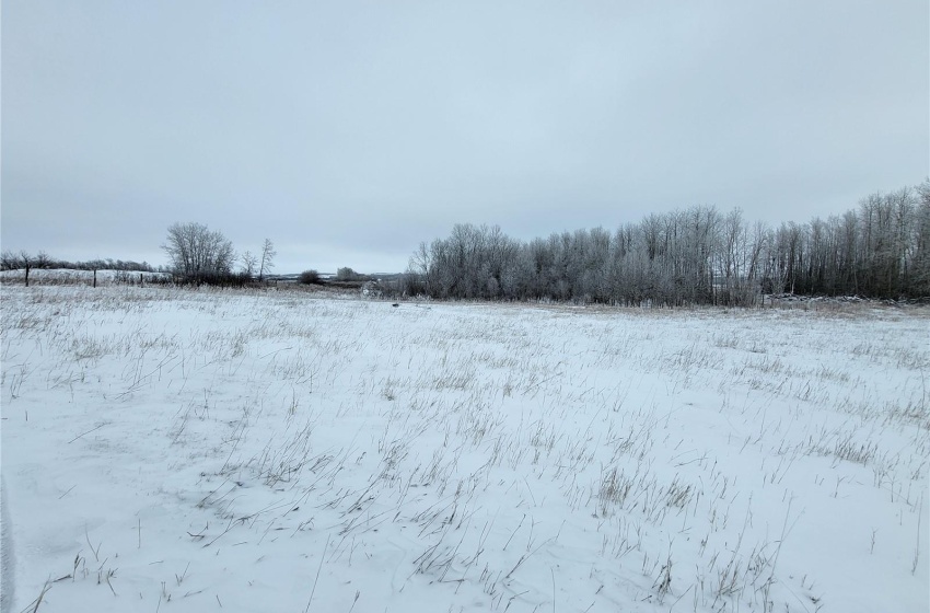 Rural Address, Blaine Lake Rm No. 434, Saskatchewan S0J 0J0, ,Farm,For Sale,Blaine Lake 414.5 acres Hay and Grain Farmland,Rural Address,SK956374