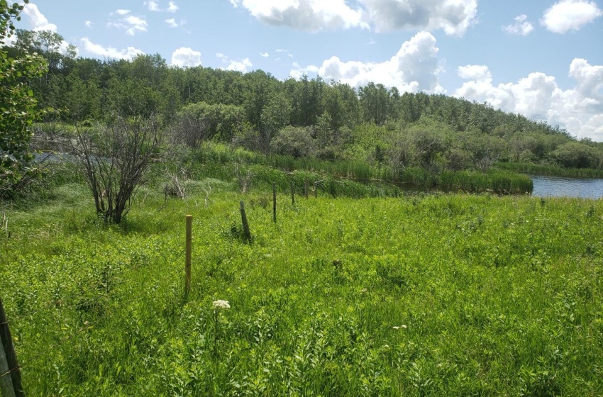 Rural Address, Glenside Rm No. 377, Saskatchewan S0K 4B0, ,Farm,For Sale,Sonningdale 648 acres Mixed Farmland (Guenther),Rural Address,SK958106