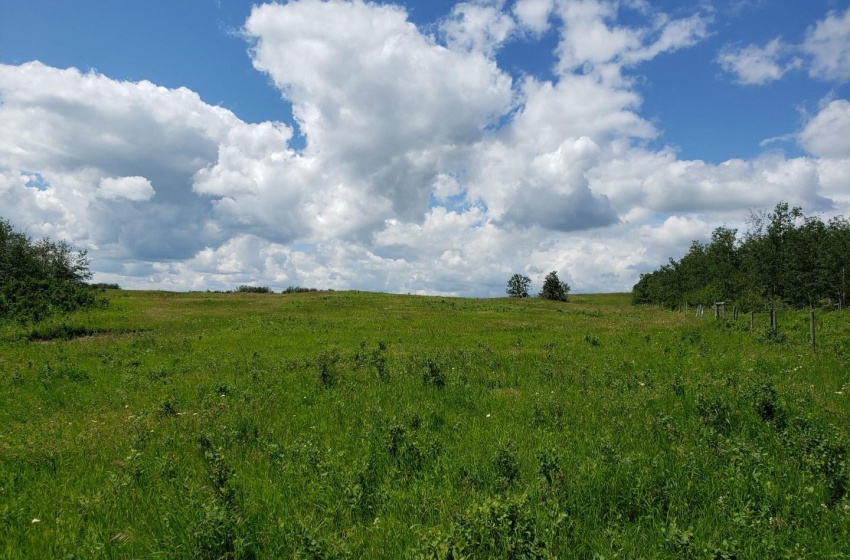 Rural Address, Glenside Rm No. 377, Saskatchewan S0K 4B0, ,Farm,For Sale,Sonningdale 648 acres Mixed Farmland (Guenther),Rural Address,SK958106