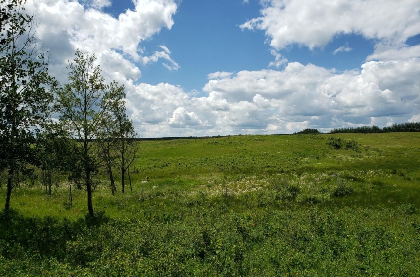 Rural Address, Glenside Rm No. 377, Saskatchewan S0K 4B0, ,Farm,For Sale,Sonningdale 648 acres Mixed Farmland (Guenther),Rural Address,SK958106