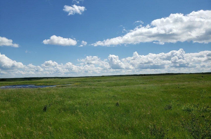 Rural Address, Glenside Rm No. 377, Saskatchewan S0K 4B0, ,Farm,For Sale,Sonningdale 648 acres Mixed Farmland (Guenther),Rural Address,SK958106