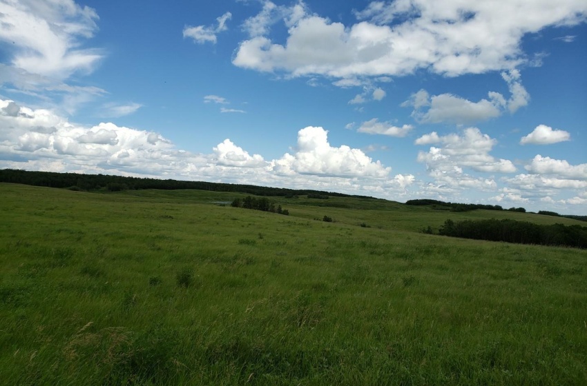 Rural Address, Glenside Rm No. 377, Saskatchewan S0K 4B0, ,Farm,For Sale,Sonningdale 648 acres Mixed Farmland (Guenther),Rural Address,SK958106