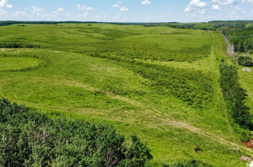 Rural Address, Glenside Rm No. 377, Saskatchewan S0K 4B0, ,Farm,For Sale,Sonningdale 648 acres Mixed Farmland (Guenther),Rural Address,SK958106