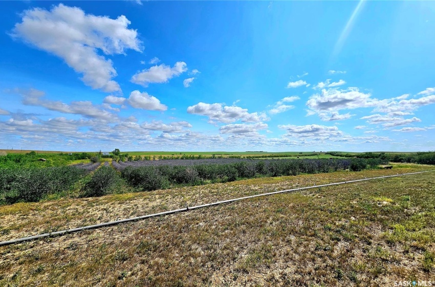 Rural Address, Miry Creek Rm No. 229, Saskatchewan S0N 0A0, 1 Bedroom Bedrooms, 8 Rooms Rooms,1 BathroomBathrooms,Acreage,For Sale,Cherry Tree Acres,Rural Address,SK958132