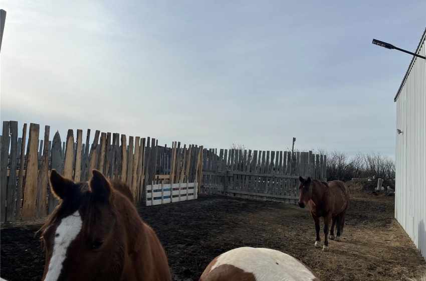 Corrals and water bowl