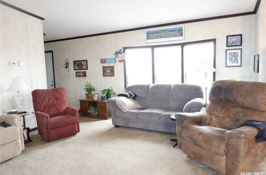 Carpeted living room featuring ornamental molding