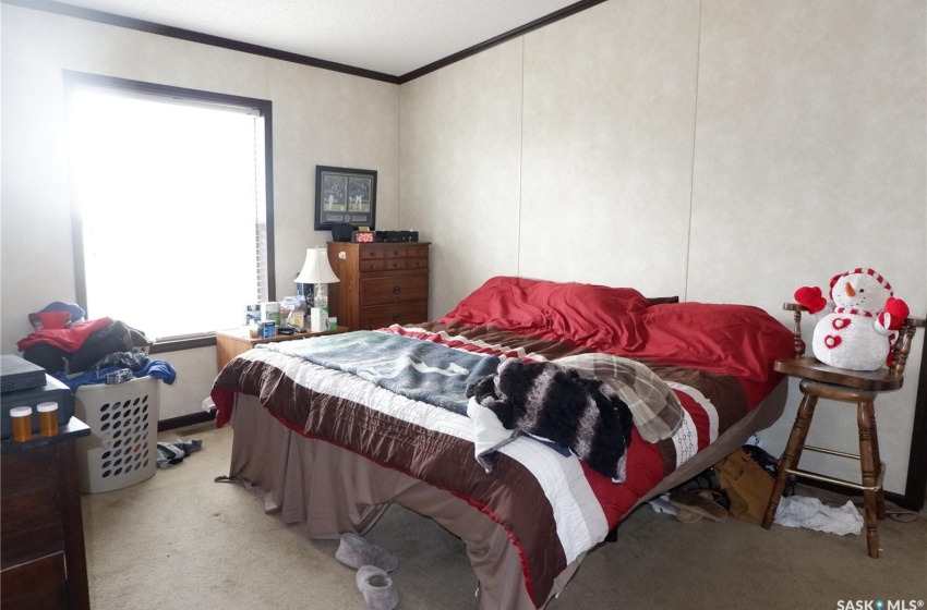 Bedroom featuring multiple windows, crown molding, and light colored carpet