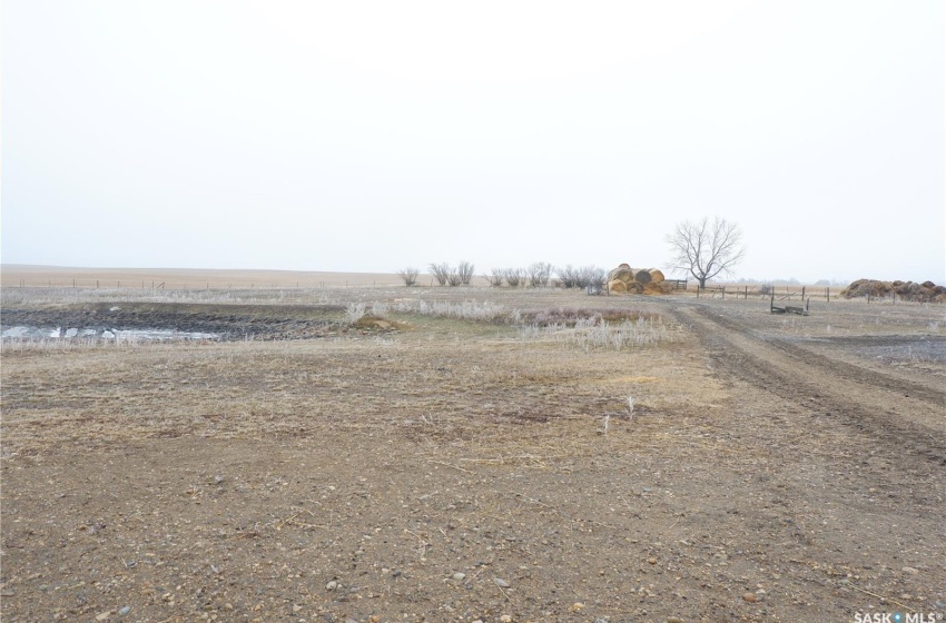 View of yard featuring a rural view