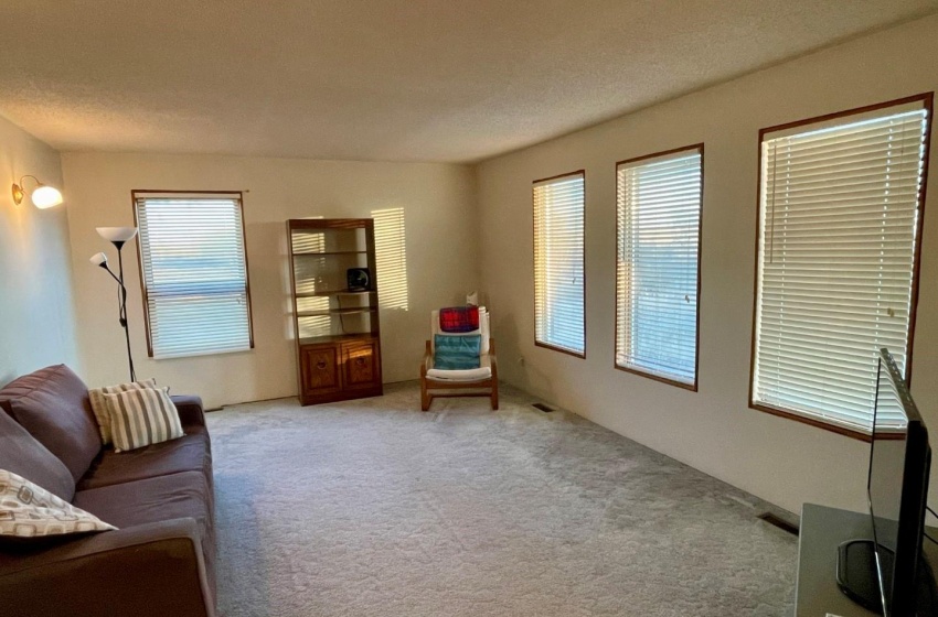 Living room featuring light colored carpet and a textured ceiling