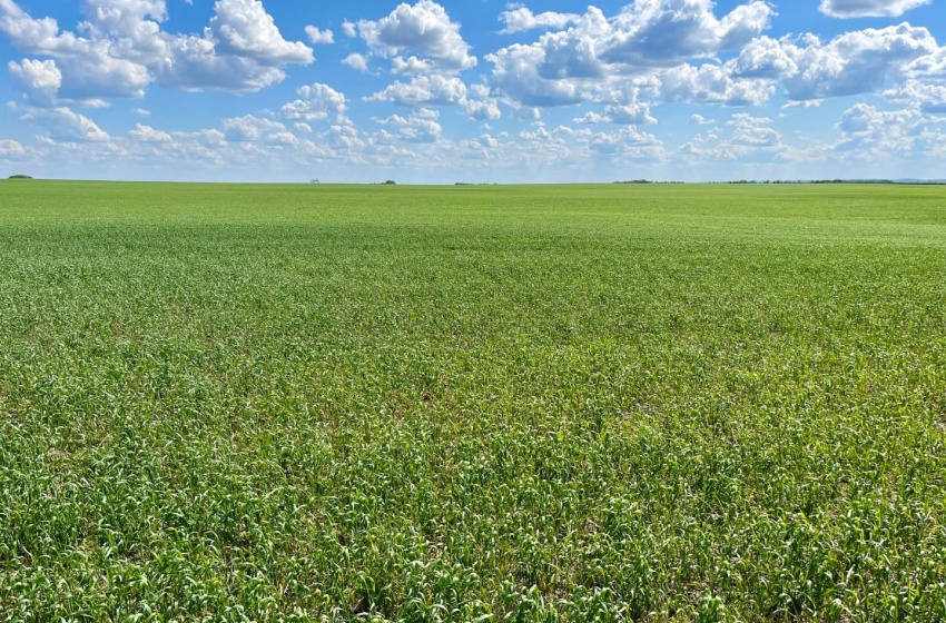 View of mother earth's splendor featuring a rural view