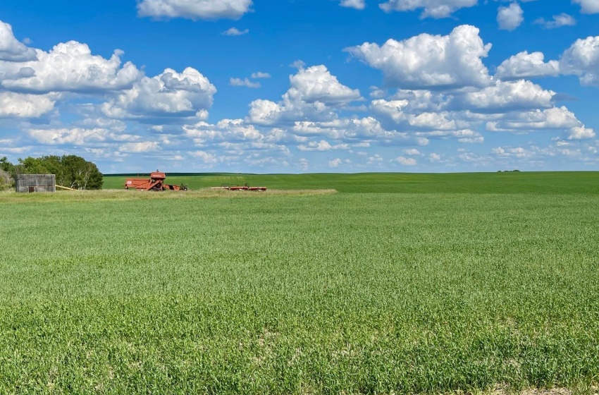 Rural Address, Eagle Creek Rm No. 376, Saskatchewan S0K 3C0, 3 Bedrooms Bedrooms, 9 Rooms Rooms,2 BathroomsBathrooms,Acreage,For Sale,RM of Eagle Creek Acreage - 80 Acres (Melashenko),Rural Address,SK958723