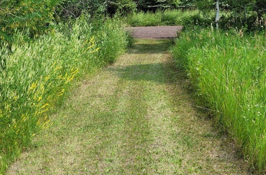 Walking trails through the quarter