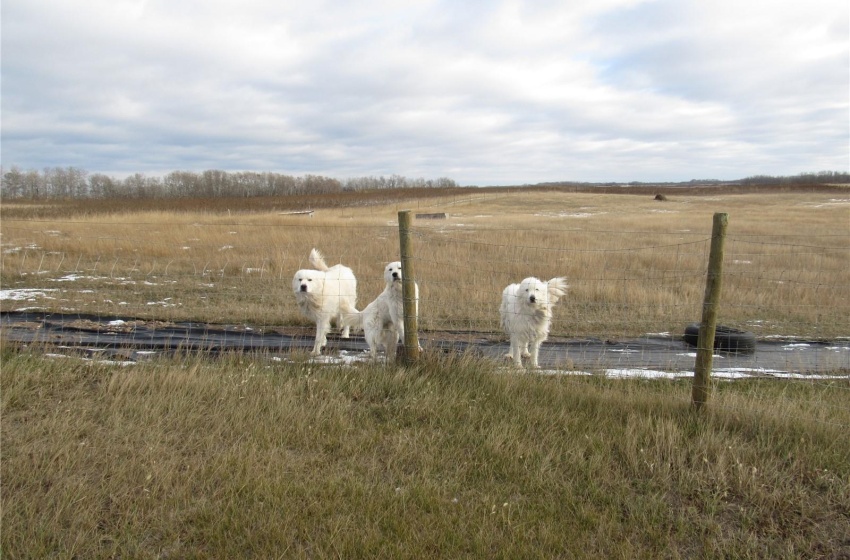 View of yard with a rural view