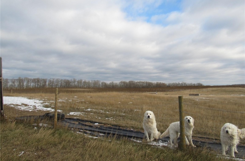 View of yard with a rural view