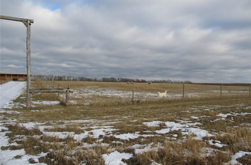 Fenced Pasture