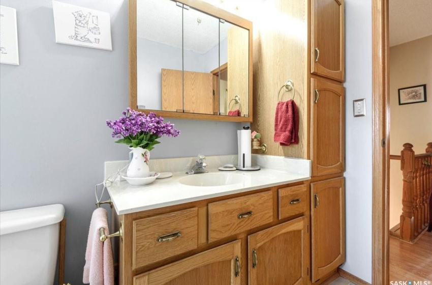 Bathroom with vanity, toilet, and hardwood / wood-style floors