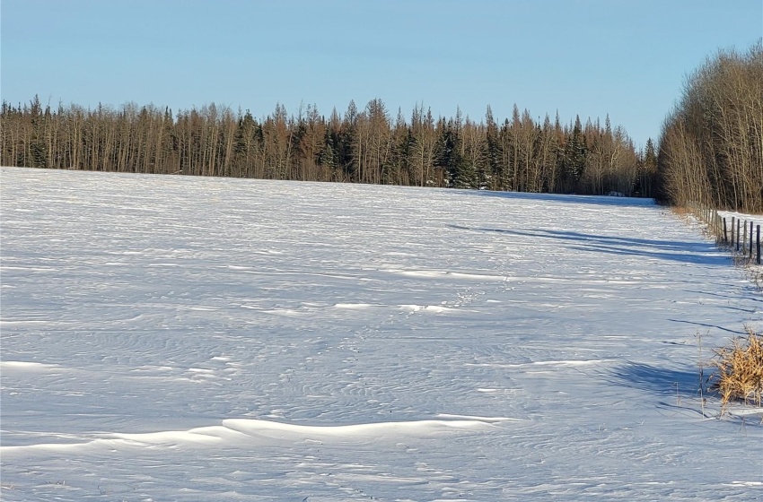 Rural Address, Meadow Lake Rm No.588, Saskatchewan S0M 2M0, ,Farm,For Sale,Rapid View 156 acres Grain Farmland,Rural Address,SK959210