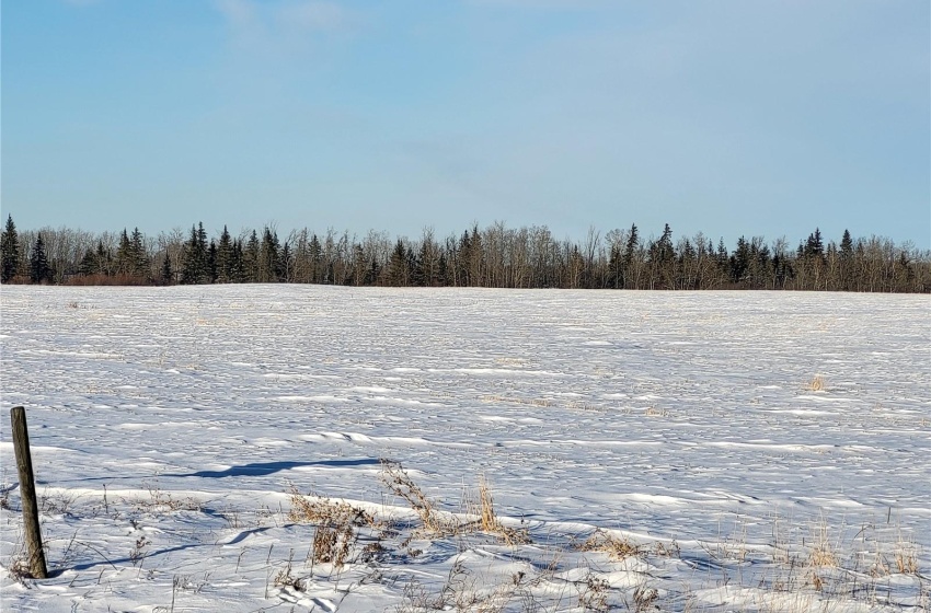 Rural Address, Meadow Lake Rm No.588, Saskatchewan S0M 2M0, ,Farm,For Sale,Rapid View 156 acres Grain Farmland,Rural Address,SK959210