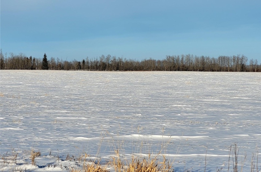 Rural Address, Meadow Lake Rm No.588, Saskatchewan S0M 2M0, ,Farm,For Sale,Rapid View 156 acres Grain Farmland,Rural Address,SK959210