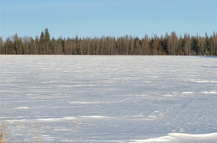 Rural Address, Meadow Lake Rm No.588, Saskatchewan S0M 2M0, ,Farm,For Sale,Rapid View 156 acres Grain Farmland,Rural Address,SK959210