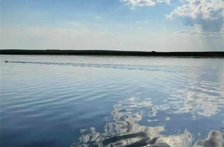 Summer shot - on the lake