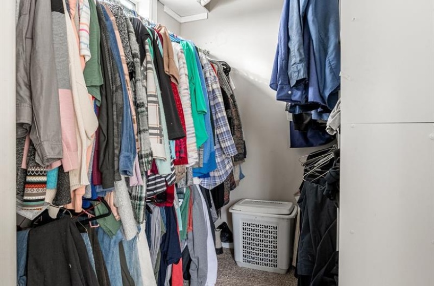 Walk in closet with carpet