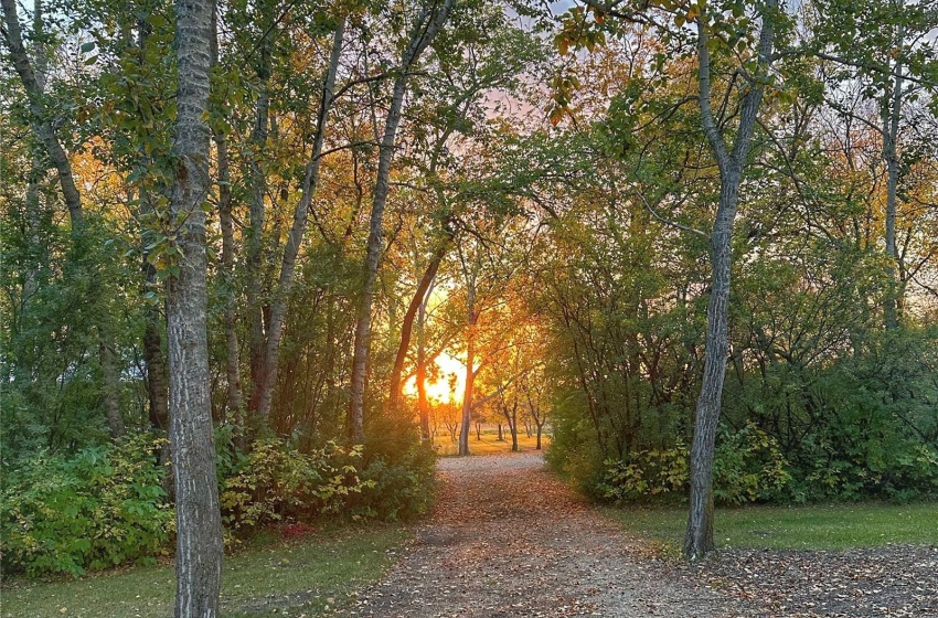 Rural Address, Lakeside Rm No. 338, Saskatchewan S0K 4V0, 4 Bedrooms Bedrooms, 15 Rooms Rooms,3 BathroomsBathrooms,Acreage,For Sale,Watson Acreage,Rural Address,SK959240