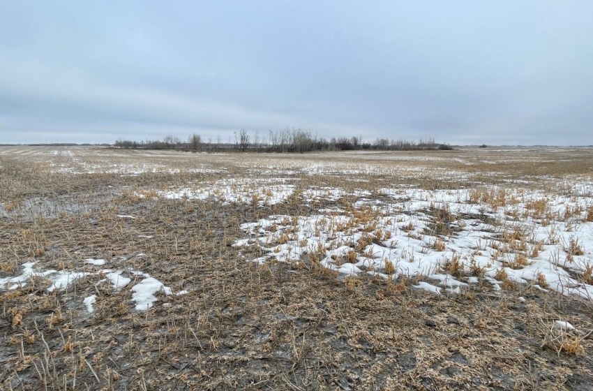 Rural Address, Corman Park Rm No. 344, Saskatchewan S7K 3J5, ,Farm,For Sale,Corman Park Farm/Development Land - 240 Acres,Rural Address,SK959365